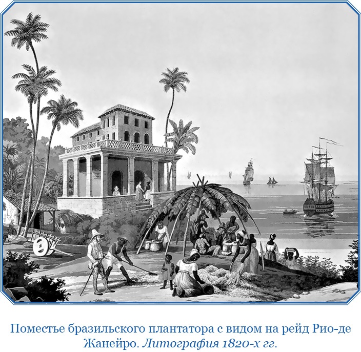 Иллюстрация к книге — Три кругосветных путешествия [i_115.jpg]