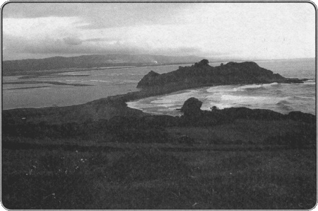 Иллюстрация к книге — Путешествие по всему миру на &quot;Буссоли&quot; и &quot;Астролябии&quot; [i_073.jpg]