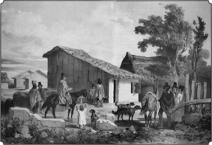 Иллюстрация к книге — Путешествие по всему миру на &quot;Буссоли&quot; и &quot;Астролябии&quot; [i_074.jpg]