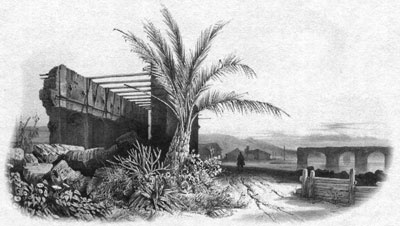 Иллюстрация к книге — Путешествие по всему миру на &quot;Буссоли&quot; и &quot;Астролябии&quot; [i_077.jpg]