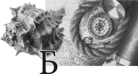 Иллюстрация к книге — Путешествие по всему миру на &quot;Буссоли&quot; и &quot;Астролябии&quot; [i_078.jpg]