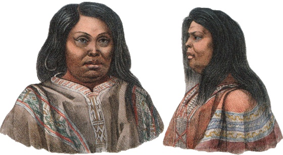 Иллюстрация к книге — Путешествие по всему миру на &quot;Буссоли&quot; и &quot;Астролябии&quot; [i_099.jpg]