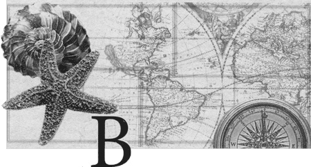 Иллюстрация к книге — Путешествие по всему миру на &quot;Буссоли&quot; и &quot;Астролябии&quot; [i_102.jpg]