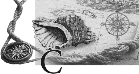 Иллюстрация к книге — Путешествие по всему миру на &quot;Буссоли&quot; и &quot;Астролябии&quot; [i_114.jpg]