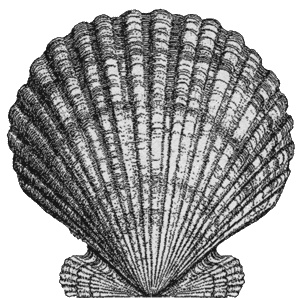 Иллюстрация к книге — Путешествие по всему миру на &quot;Буссоли&quot; и &quot;Астролябии&quot; [i_115.jpg]