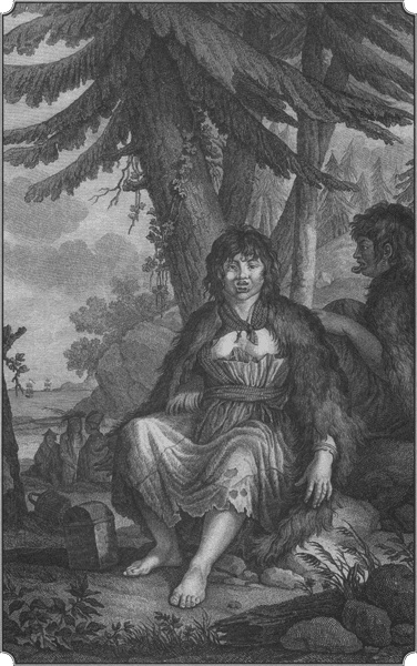 Иллюстрация к книге — Путешествие по всему миру на &quot;Буссоли&quot; и &quot;Астролябии&quot; [i_118.jpg]