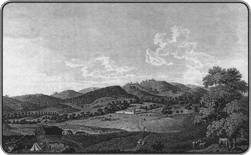 Иллюстрация к книге — Путешествие по всему миру на &quot;Буссоли&quot; и &quot;Астролябии&quot; [i_127.jpg]