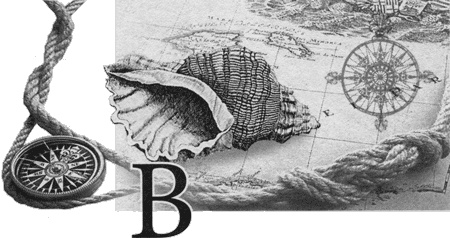 Иллюстрация к книге — Путешествие по всему миру на &quot;Буссоли&quot; и &quot;Астролябии&quot; [i_129.jpg]