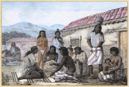 Иллюстрация к книге — Путешествие по всему миру на &quot;Буссоли&quot; и &quot;Астролябии&quot; [i_133.jpg]