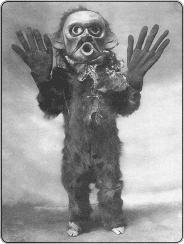 Иллюстрация к книге — Путешествие по всему миру на &quot;Буссоли&quot; и &quot;Астролябии&quot; [i_136.jpg]