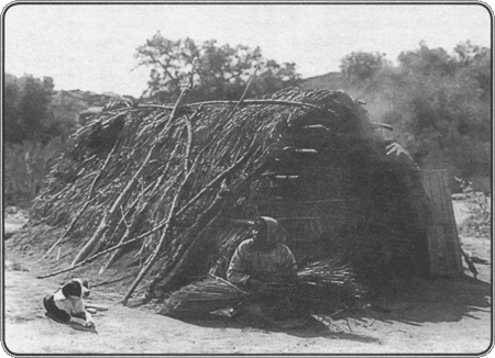 Иллюстрация к книге — Путешествие по всему миру на &quot;Буссоли&quot; и &quot;Астролябии&quot; [i_137.jpg]