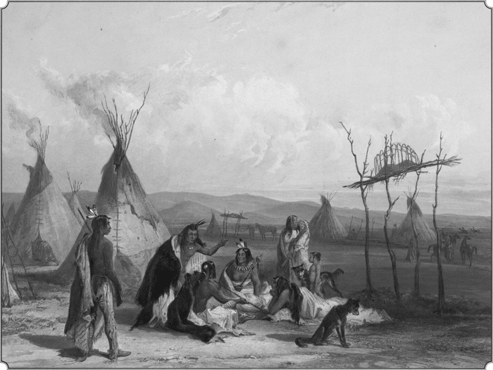 Иллюстрация к книге — Путешествие по всему миру на &quot;Буссоли&quot; и &quot;Астролябии&quot; [i_139.jpg]