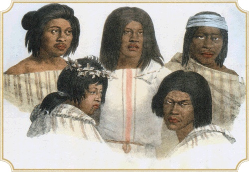 Иллюстрация к книге — Путешествие по всему миру на &quot;Буссоли&quot; и &quot;Астролябии&quot; [i_142.jpg]