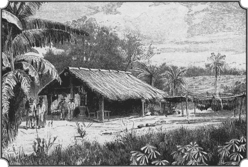 Иллюстрация к книге — Путешествие по всему миру на &quot;Буссоли&quot; и &quot;Астролябии&quot; [i_145.jpg]