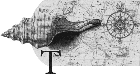 Иллюстрация к книге — Путешествие по всему миру на &quot;Буссоли&quot; и &quot;Астролябии&quot; [i_149.jpg]