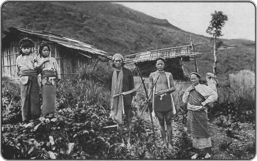 Иллюстрация к книге — Путешествие по всему миру на &quot;Буссоли&quot; и &quot;Астролябии&quot; [i_179.jpg]