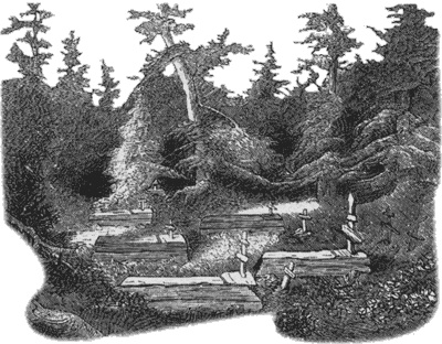 Иллюстрация к книге — Путешествие по всему миру на &quot;Буссоли&quot; и &quot;Астролябии&quot; [i_189.jpg]