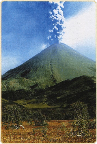 Иллюстрация к книге — Путешествие по всему миру на &quot;Буссоли&quot; и &quot;Астролябии&quot; [i_223.jpg]