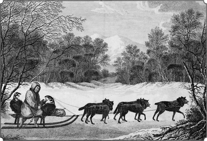 Иллюстрация к книге — Путешествие по всему миру на &quot;Буссоли&quot; и &quot;Астролябии&quot; [i_229.jpg]