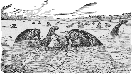 Иллюстрация к книге — Путешествие по всему миру на &quot;Буссоли&quot; и &quot;Астролябии&quot; [i_233.jpg]