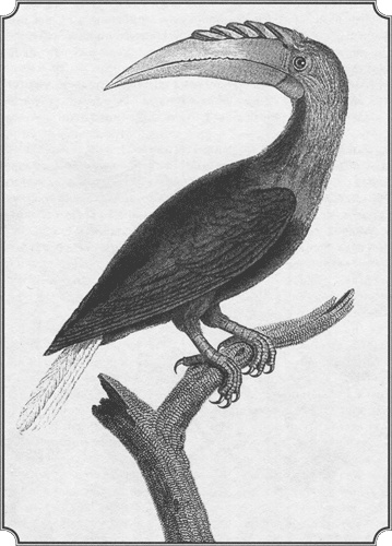 Иллюстрация к книге — Путешествие по всему миру на &quot;Буссоли&quot; и &quot;Астролябии&quot; [i_241.jpg]