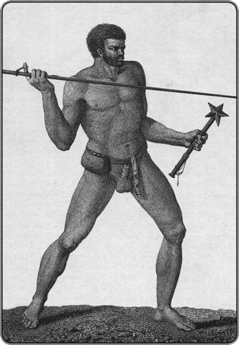 Иллюстрация к книге — Путешествие по всему миру на &quot;Буссоли&quot; и &quot;Астролябии&quot; [i_244.jpg]