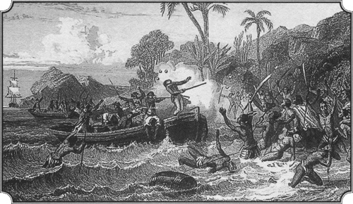 Иллюстрация к книге — Путешествие по всему миру на &quot;Буссоли&quot; и &quot;Астролябии&quot; [i_245.jpg]