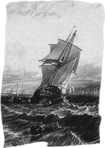 Иллюстрация к книге — Путешествие по всему миру на &quot;Буссоли&quot; и &quot;Астролябии&quot; [i_248.jpg]