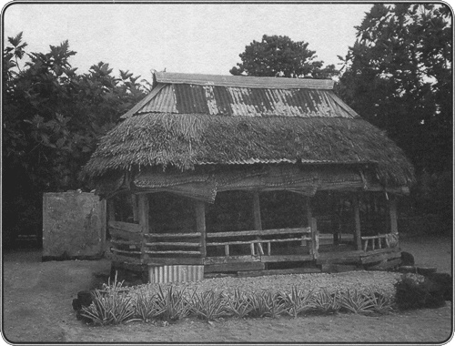 Иллюстрация к книге — Путешествие по всему миру на &quot;Буссоли&quot; и &quot;Астролябии&quot; [i_250.jpg]