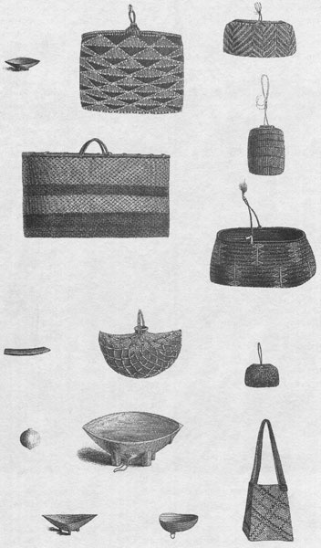 Иллюстрация к книге — Путешествие по всему миру на "Буссоли" и "Астролябии" [i_261.jpg]