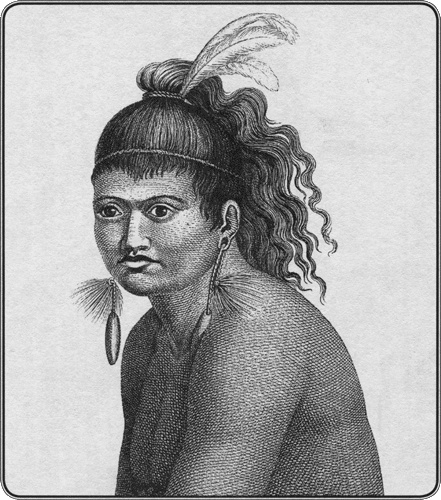 Иллюстрация к книге — Путешествие по всему миру на &quot;Буссоли&quot; и &quot;Астролябии&quot; [i_265.jpg]