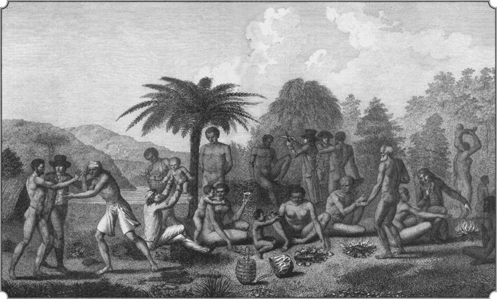 Иллюстрация к книге — Путешествие по всему миру на "Буссоли" и "Астролябии" [i_270.jpg]