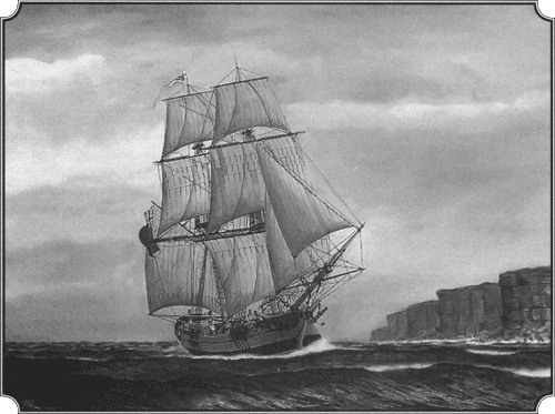 Иллюстрация к книге — Путешествие по всему миру на "Буссоли" и "Астролябии" [i_271.jpg]