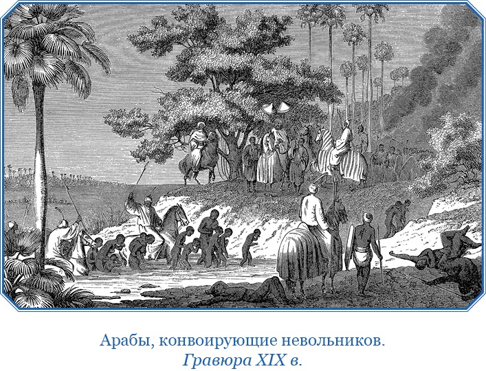 Иллюстрация к книге — Дневники исследователя Африки [i_016.jpg]