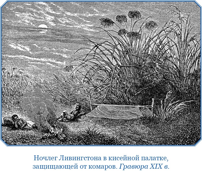 Иллюстрация к книге — Дневники исследователя Африки [i_017.jpg]