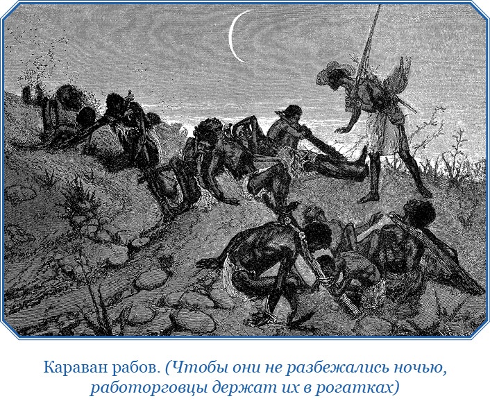 Иллюстрация к книге — Дневники исследователя Африки [i_018.jpg]