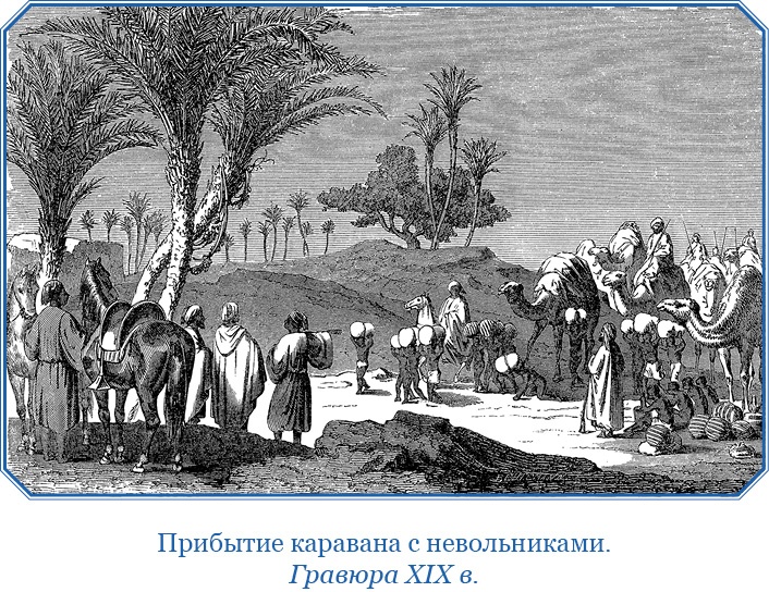 Иллюстрация к книге — Дневники исследователя Африки [i_020.jpg]