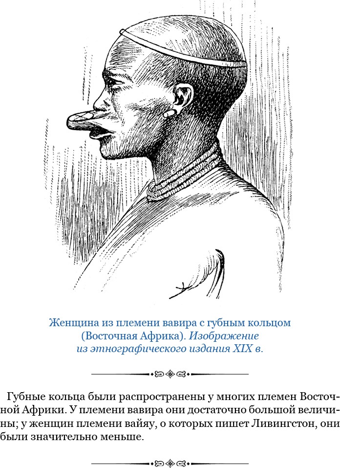 Иллюстрация к книге — Дневники исследователя Африки [i_023.jpg]