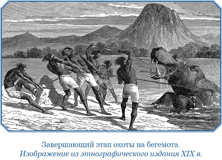 Иллюстрация к книге — Дневники исследователя Африки [i_028.jpg]