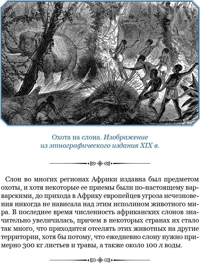 Иллюстрация к книге — Дневники исследователя Африки [i_043.jpg]