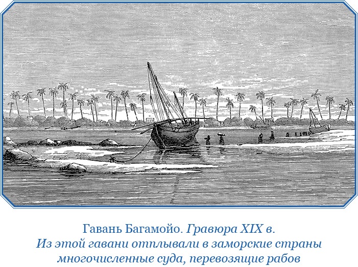 Иллюстрация к книге — Дневники исследователя Африки [i_045.jpg]