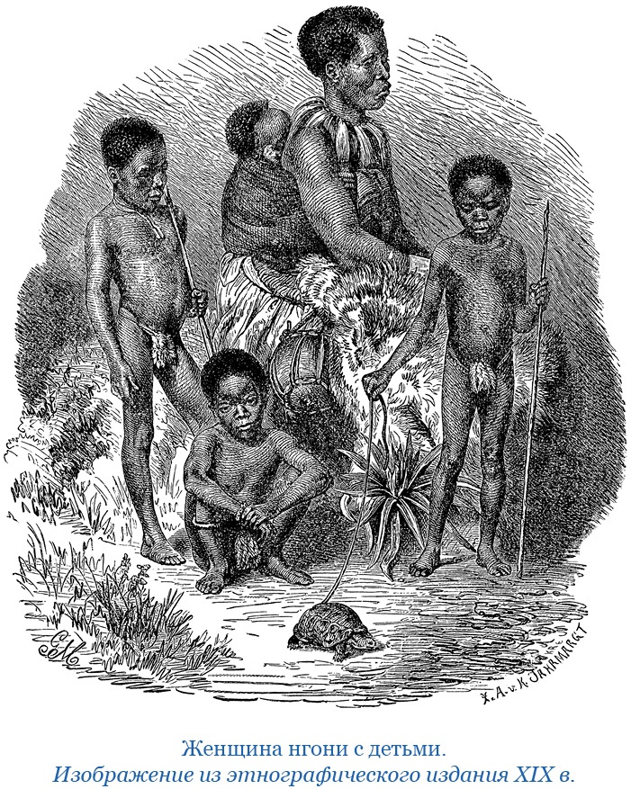 Иллюстрация к книге — Дневники исследователя Африки [i_052.jpg]