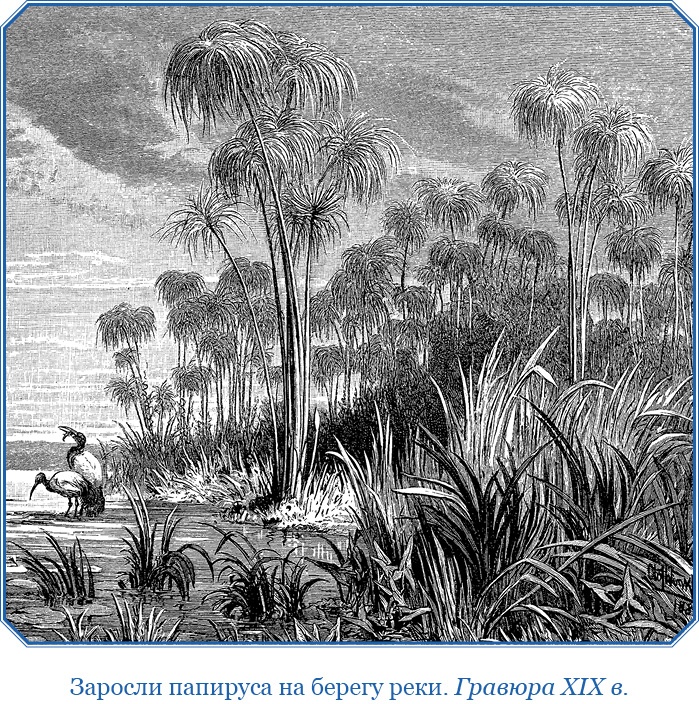 Иллюстрация к книге — Дневники исследователя Африки [i_055.jpg]