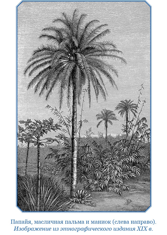 Иллюстрация к книге — Дневники исследователя Африки [i_062.jpg]