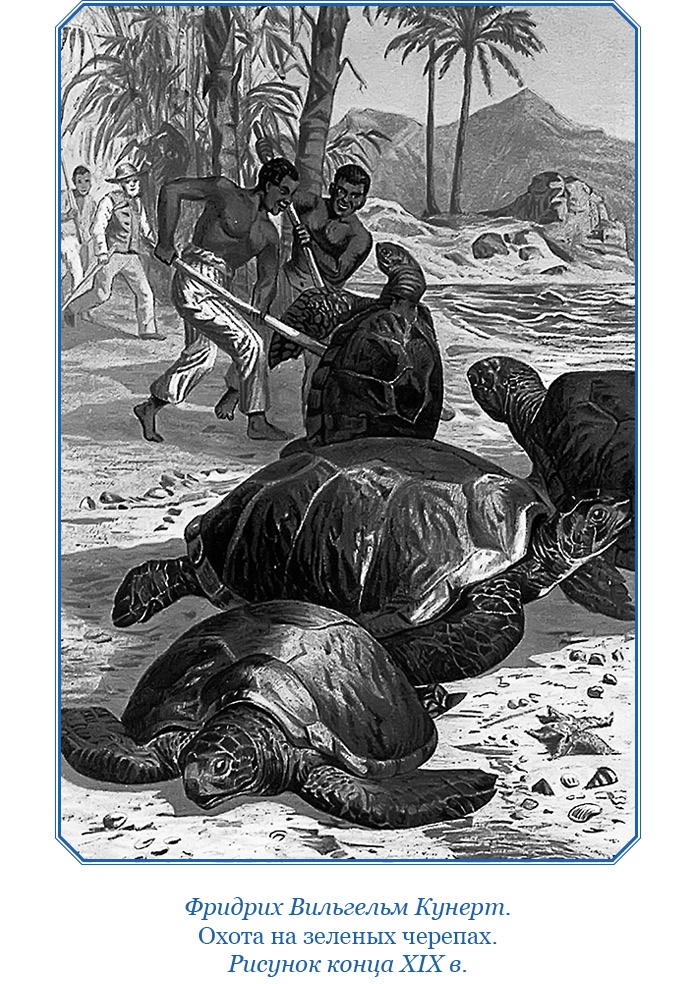 Иллюстрация к книге — Плавания капитана флота Федора Литке вокруг света и по Северному Ледовитому океану [i_107.jpg]