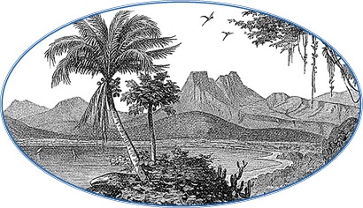 Иллюстрация к книге — Плавания капитана флота Федора Литке вокруг света и по Северному Ледовитому океану [i_116.jpg]