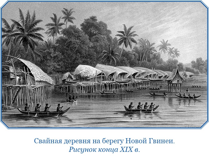 Иллюстрация к книге — Путешествие на берег Маклая [i_009.jpg]