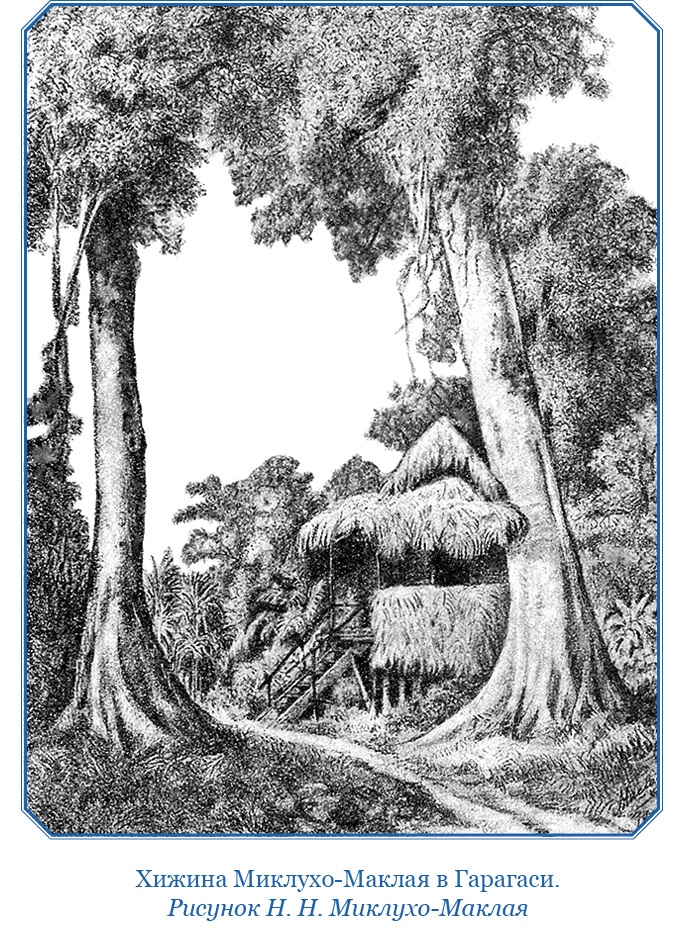 Иллюстрация к книге — Путешествие на берег Маклая [i_011.jpg]
