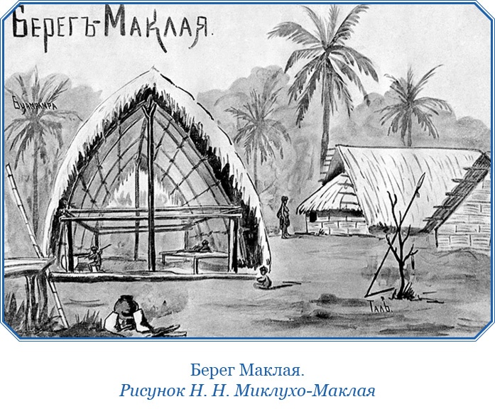 Иллюстрация к книге — Путешествие на берег Маклая [i_012.jpg]