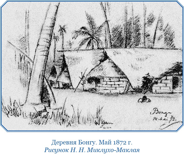 Иллюстрация к книге — Путешествие на берег Маклая [i_016.jpg]